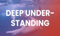 deep understanding deep understanding